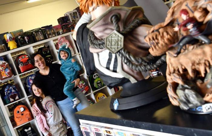 Petit geek, la boutique pop culture aux 3000 références s’agrandit