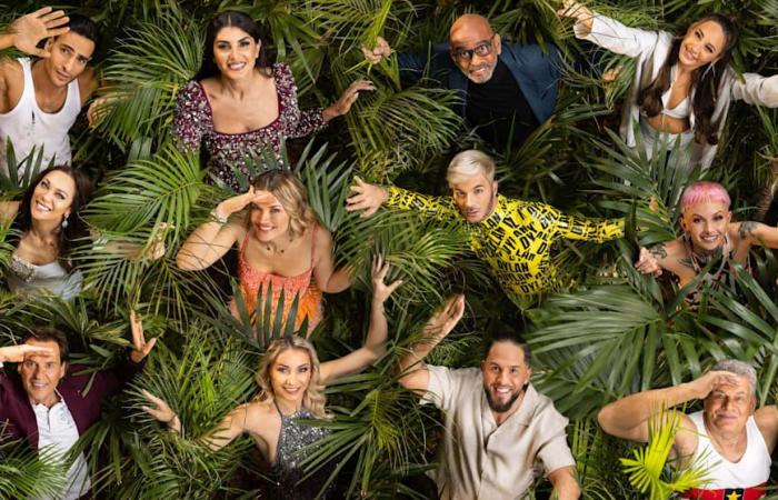 Jungle camp 2025 : RTL expulse Yasin Mohamed de TV-Busch !