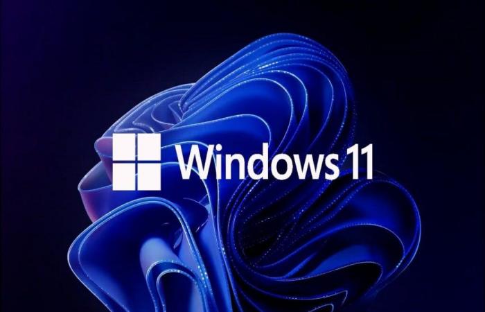 Promo Nouvel An : profitez de Windows 11 à un prix imbattable : 18€ chez VIP-URcdkey !