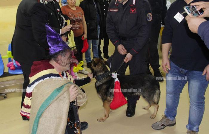 Lamezia, l’« Epiphanie de la biodiversité 2025 » des Carabiniers revient pour les petits patients pédiatriques à l’hôpital