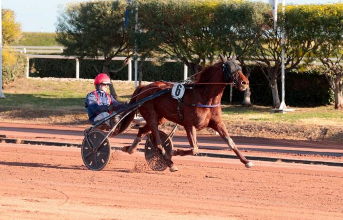 Kookey Melody soigne ses statistiques, Kador d’Espace est fort