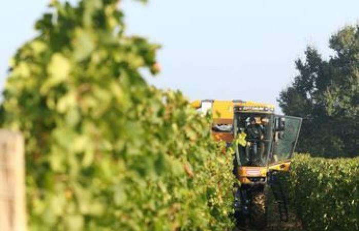 Face aux difficultés, l’agriculture gasconne exprime sa colère