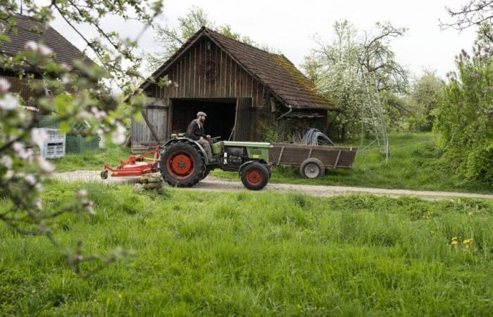 Les agriculteurs suisses réclament de meilleurs salaires