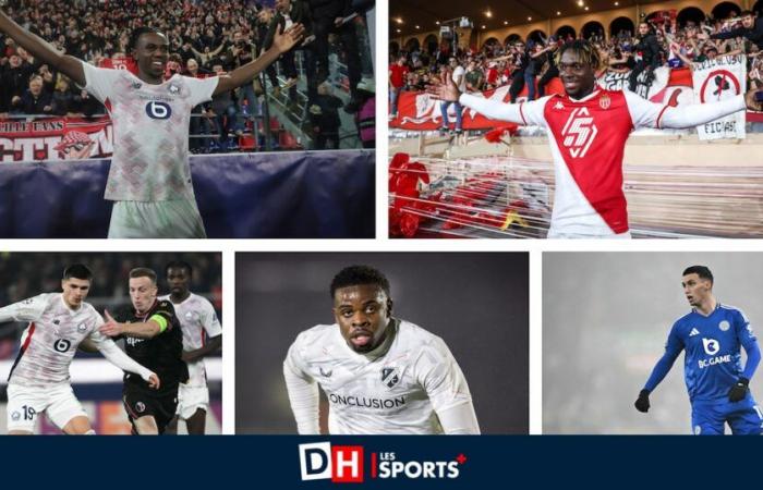 Ils ont quitté la Pro League cet été mais pour quel résultat ? (2/4) Les Belges promettent Lille et les jeunes en plein apprentissage