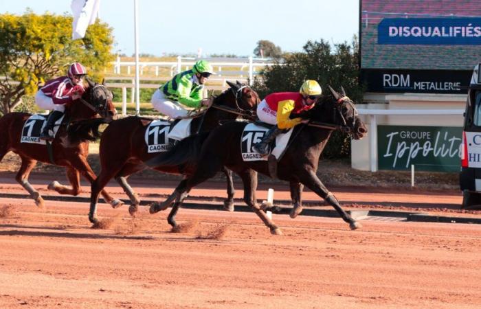 Friday January 3, 2025 in Cagnes-sur-Mer