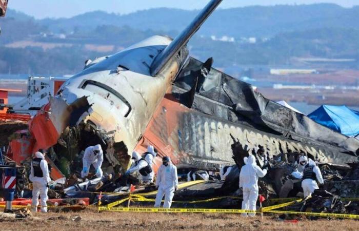 Les enquêteurs commencent à retirer l’épave du Boeing de Jeju Air