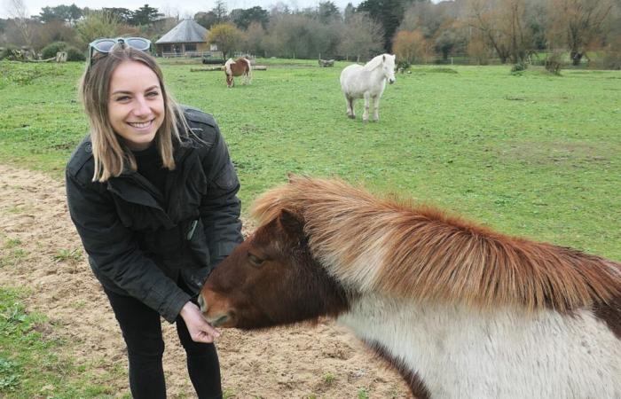 Loire-Atlantique: Marie heals with horses