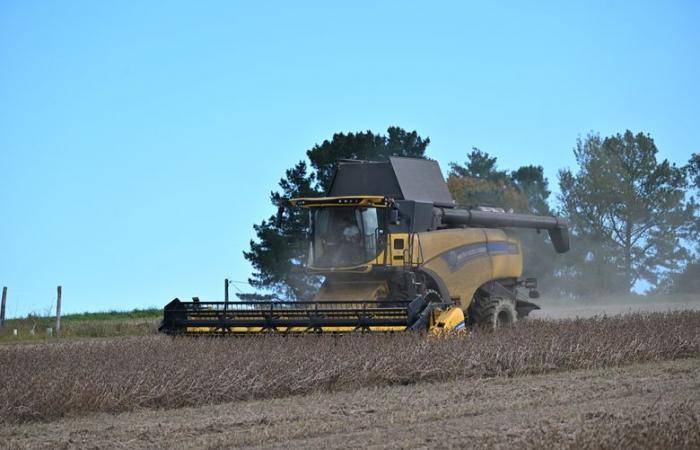 Face aux difficultés, l’agriculture gasconne exprime sa colère