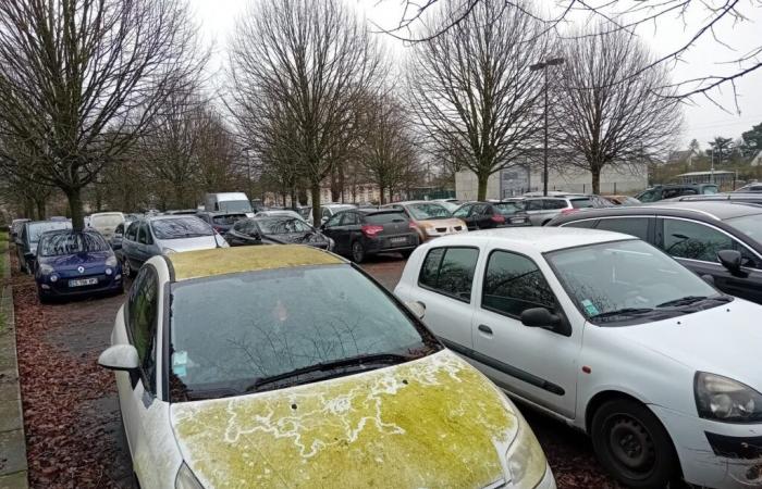 Le parking de cette gare d’Ille-et-Vilaine est-il victime de son succès ?