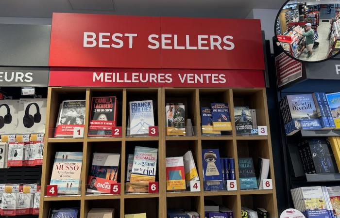 Quel auteur a réalisé les meilleures ventes de livres en 2024 ?