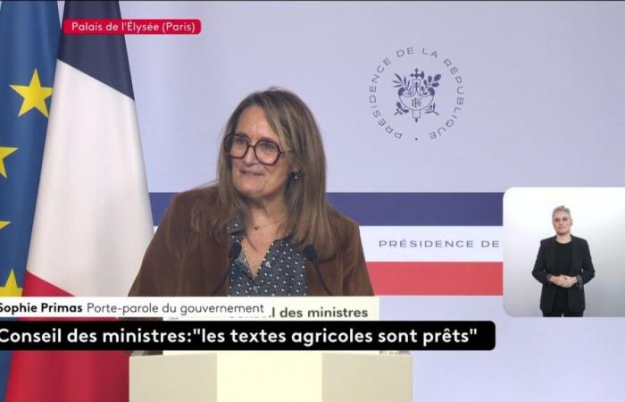 “C’est dans ces tempêtes que chacun doit prendre ses responsabilités”, déclare le porte-parole du gouvernement à l’issue du premier Conseil des ministres.