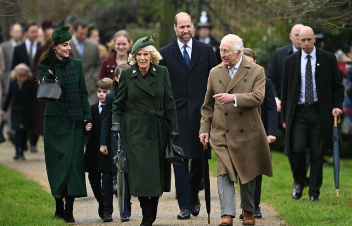 les revenus du roi Charles III et du prince William sous le feu des critiques