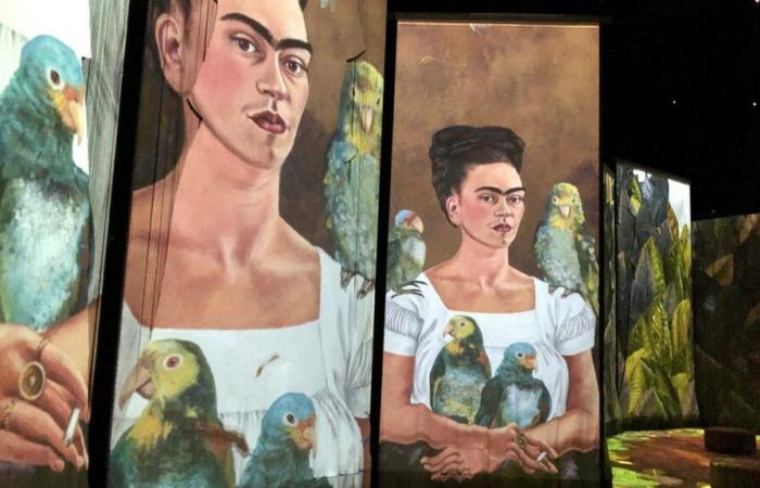 Matisse, Frida Kahlo, Colette… Ce qu’il est possible de faire (ou pas) avec les œuvres de ces artistes entrées dans le domaine public le 1er janvier