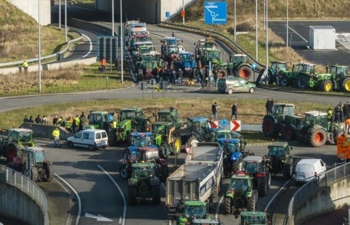 Sans réponse de François Bayrou, les agriculteurs s’apprêtent “à aller à Paris”