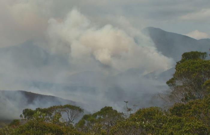 trois jours après le désastre, un millier d’hectares ravagés par les flammes, le maire du Mont-Dore interdit l’accès à la zone