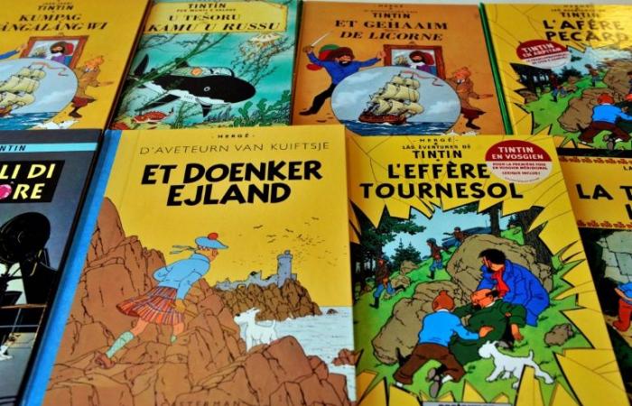 Tintin, Popeye, Hemingway, Ravel perdent leurs droits d’auteur