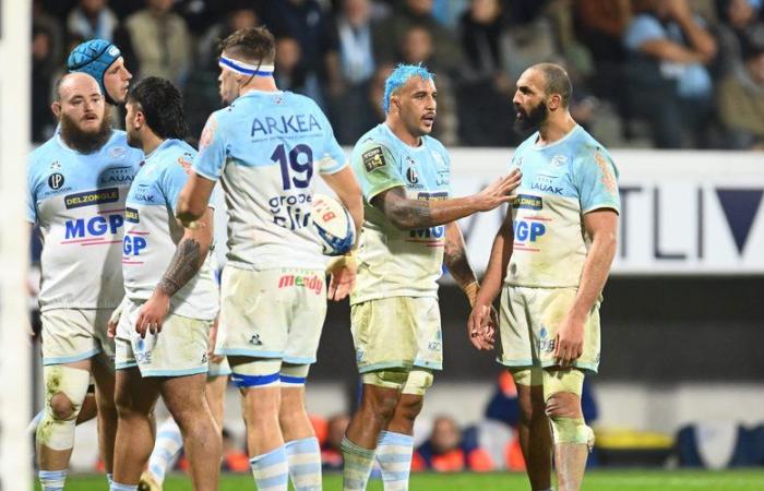 Top 14 – A Bayonne, la profondeur du troisième ligne est devenue une force