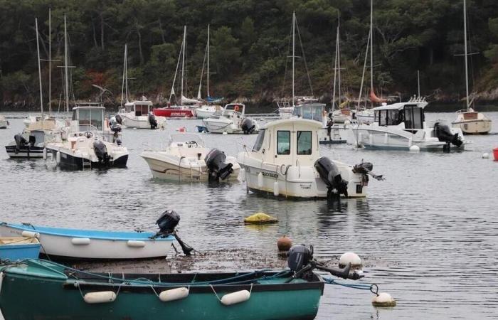 Le corps d’un homme retrouvé dans un port du Finistère. Sport