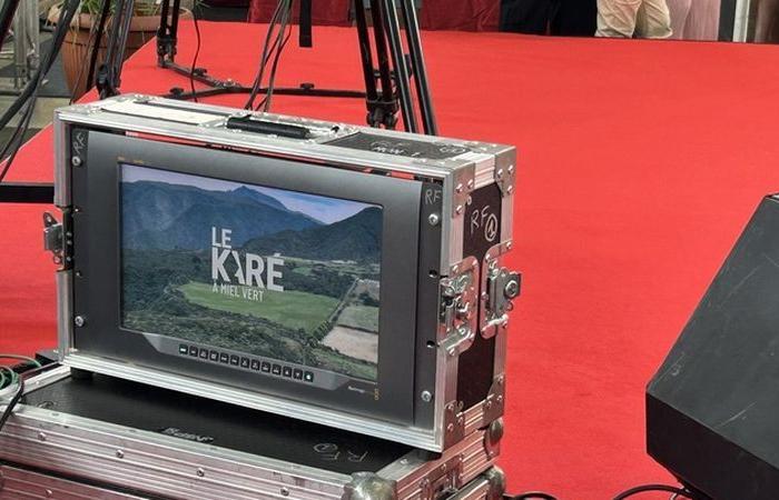 le journal télé de 12h30 et Karé Miel Vert de 15h à 17h en direct sur Réunion La 1ère