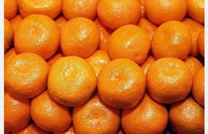 Le marché européen de la mandarine confronté à des prix élevés et une offre faible