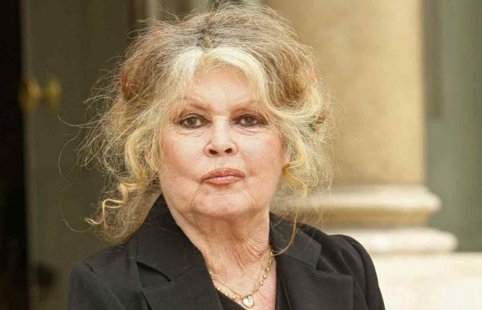 Brigitte Bardot s’en prend à nouveau aux chasseurs