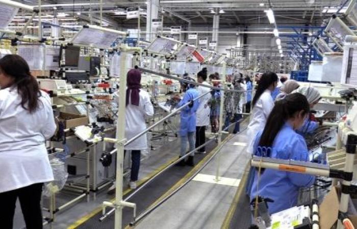 Rabat-Salé-Kenitra.. Creation of more than 9,100 companies