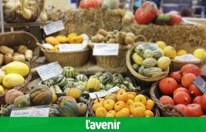 En 2024, les prix alimentaires mondiaux vont baisser de 2%, voici les produits concernés