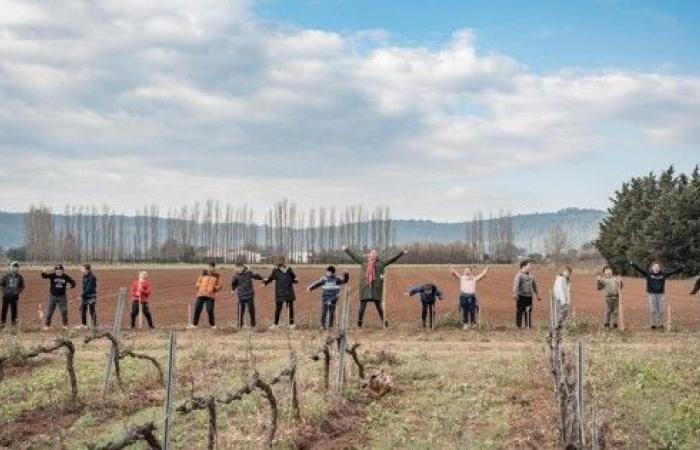 Des enfants sèment l’avenir en plantant 400 arbres avec un agriculteur du Gers