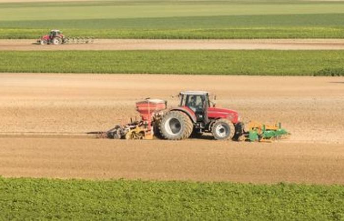 En 2024, les prix alimentaires mondiaux baisseront de 2 %, selon l’Organisation des Nations Unies pour l’alimentation et l’agriculture.