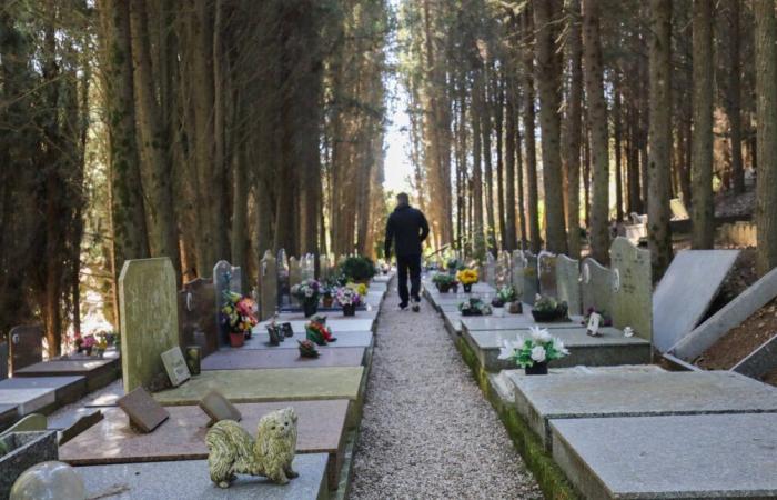 Pourquoi le 3 janvier est le jour le plus meurtrier de l’année en France