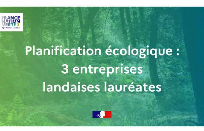 3 entreprises landaises lauréates de l’AAP Industrialisation Efficace des Produits Bois – Actualités – Actualités