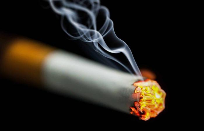 une seule cigarette réduirait l’espérance de vie de 20 minutes