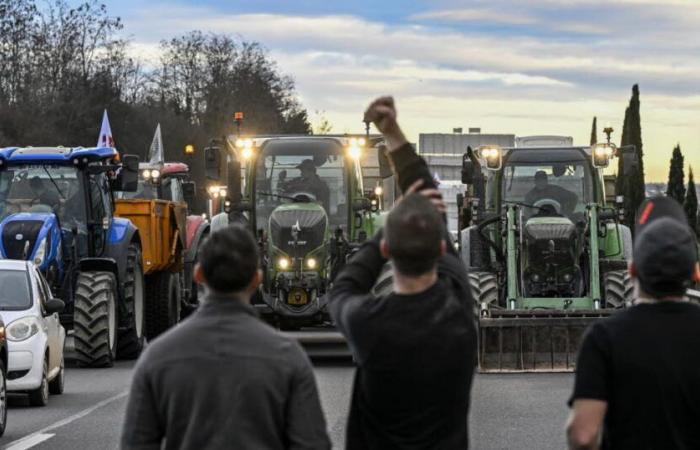 “Personne ne nous prend en considération”