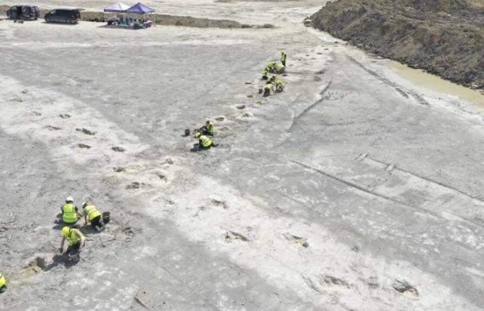 Au Royaume-Uni, la fascinante découverte d’une « autoroute des dinosaures »