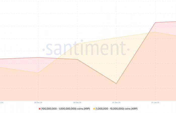 Voici les derniers achats de crypto-baleines en janvier