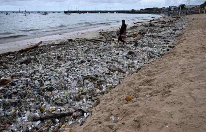 Des plages envahies par les déchets à Bali