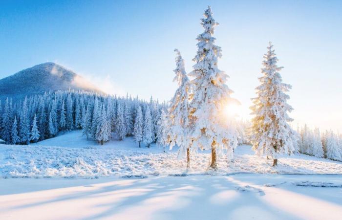 Vers un blocus anticyclonique en France ? Un froid plus durable prévaudra-t-il ?