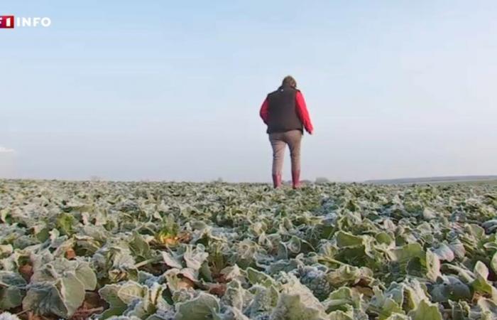 le quart nord-est de la France se prépare à affronter le froid