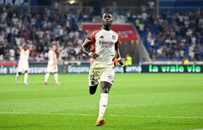 A Lyon supporter sends his CV to Moussa Niakhaté – France – Olympique lyonnais