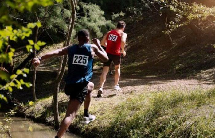 L’univers captivant du Aire Trail – Le Petit Journal