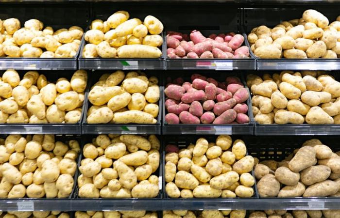 Potatoes at issue at Intermarché, Carrefour and Système U