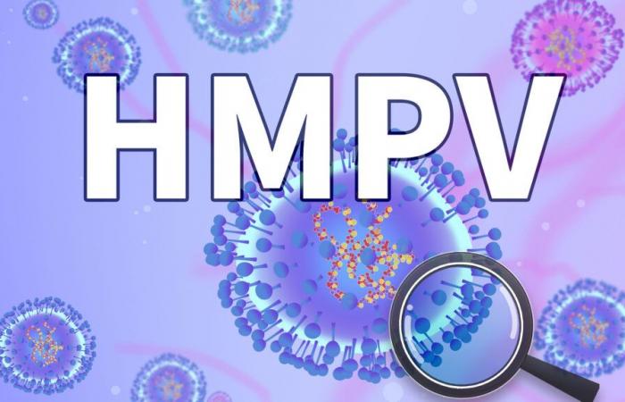 La Chine constate une augmentation des infections à HMPV, mais il ne s’agit pas d’un « nouveau virus »