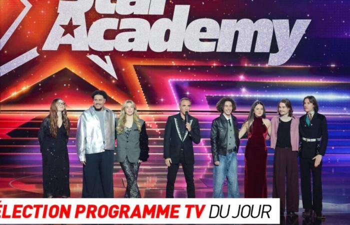 Star Academy, La Belle et le Clochard… que regarder à la télé ce soir ?