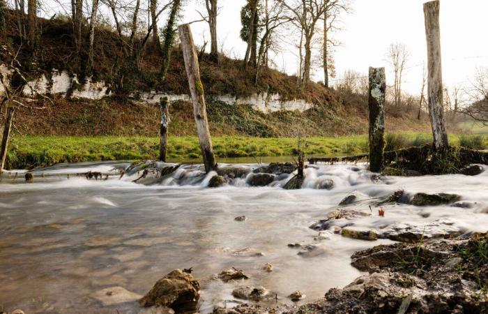 Pour protéger Paris des inondations, les zones rurales sacrifient les terres