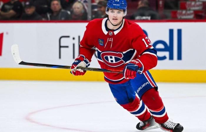 Une 4e saison de 20 buts pour Cole Caufield