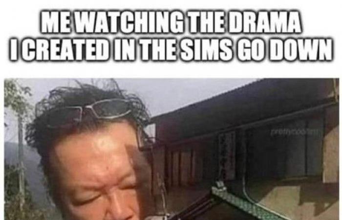 18 situations que tous les accros des « Sims » connaissent