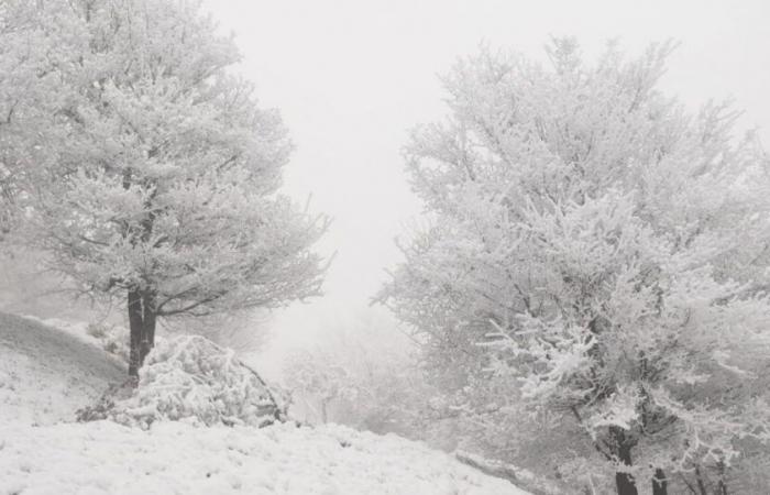 Bulletin météo. Est-ce qu’il a fait -30°C cette nuit dans l’est de la France ?