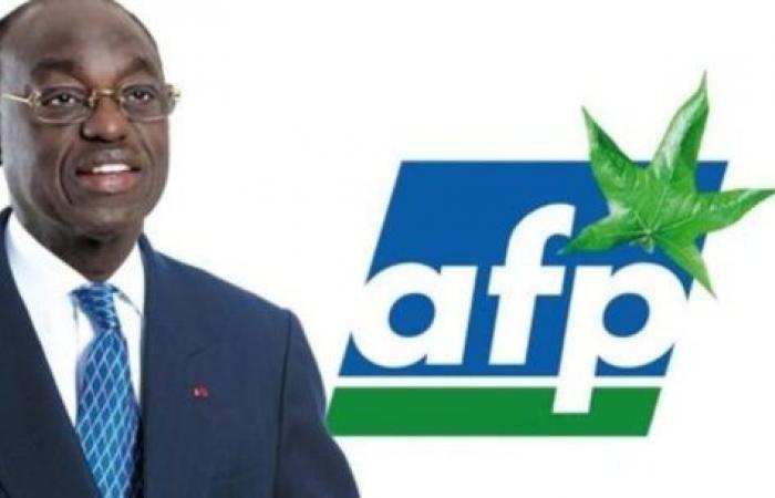 Rationalisation des partis : l’AFP apporte des solutions