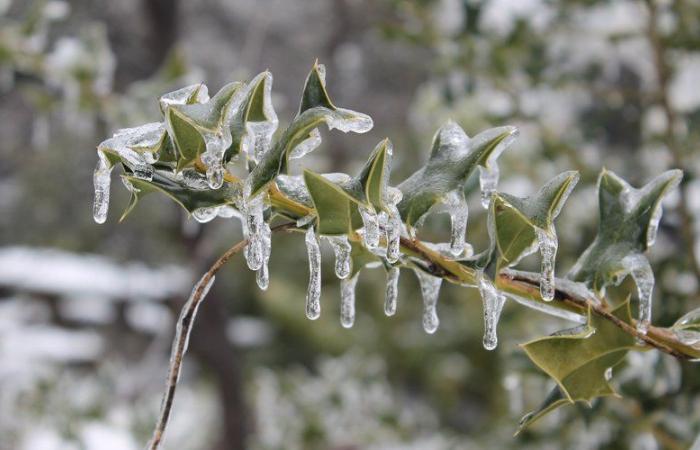 neige et pluie verglaçante avec 16 départements en alerte orange et 43 en jaune, mais doux sur le sud-ouest