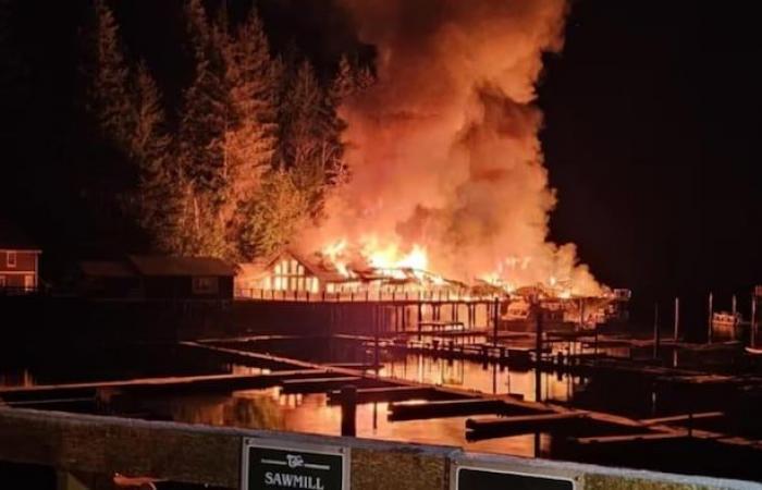 Telegraph Cove pleure la destruction de son centre d’interprétation des baleines